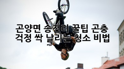 🏡 곤양면 송전리 꿀팁! 곤충 걱정 싹 날리는 청소 비법 🧹✨