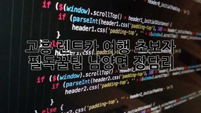고흥 렌트카 여행🚗 초보자 필독꿀팁 (남양면 장담리)