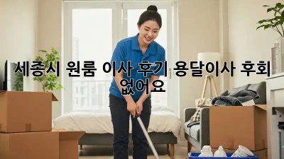 세종시 원룸 이사 후기: 용달이사, 후회 없어요!